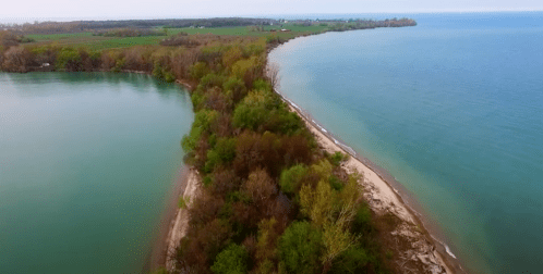 Aerial view of a lush green peninsula separating two bodies of water, with sandy shores and trees along the coastline.