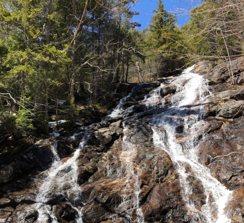 A cascading waterfall flows over rocky terrain, surrounded by lush green trees under a clear blue sky.