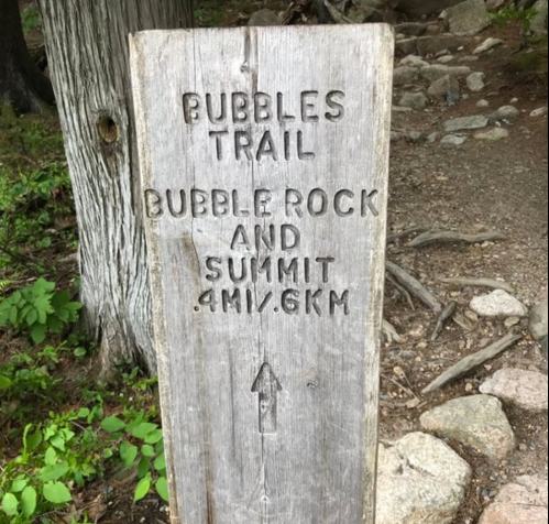 Wooden trail sign reading "Bubbles Trail, Bubble Rock and Summit, 4 mi / 6 km" surrounded by greenery and rocks.