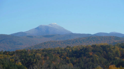 Snow-capped mountain peak rises above colorful autumn foliage under a clear blue sky.