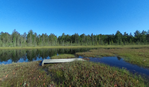 A serene landscape featuring a calm lake, wooden dock, and lush greenery under a clear blue sky.