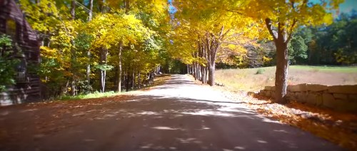 A scenic dirt road lined with vibrant autumn trees and golden leaves, leading through a peaceful countryside.