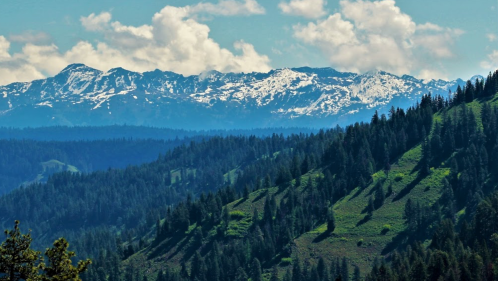 A scenic view of snow-capped mountains in the background, with lush green hills and trees in the foreground.