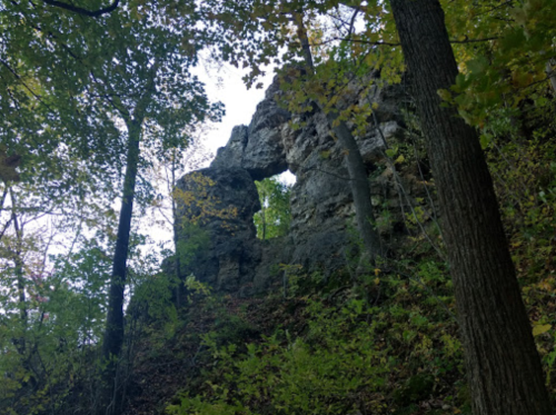 A rocky formation with a natural arch, surrounded by trees and greenery in a forested area.