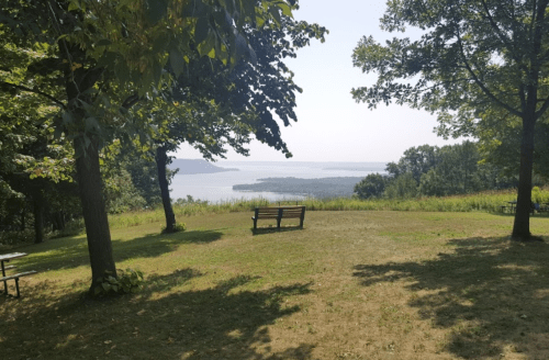 A serene park view with a bench overlooking a lake, surrounded by trees and lush greenery on a sunny day.