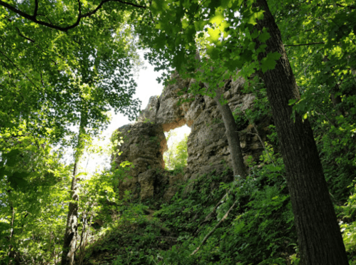 A rocky formation with a natural arch surrounded by lush green trees and foliage.