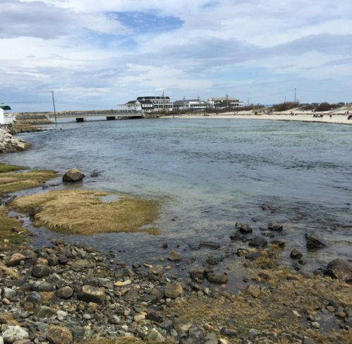 A calm coastal scene with a shallow river, rocky shore, and distant buildings under a cloudy sky.