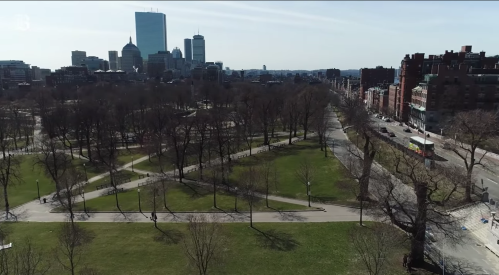 Aerial view of a park with bare trees and pathways, surrounded by city buildings and a clear blue sky.