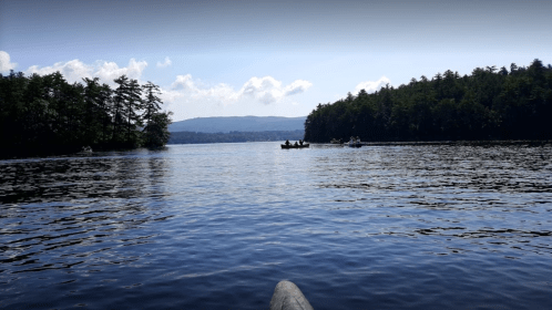 A serene lake scene with kayakers and lush green trees under a blue sky with fluffy clouds.