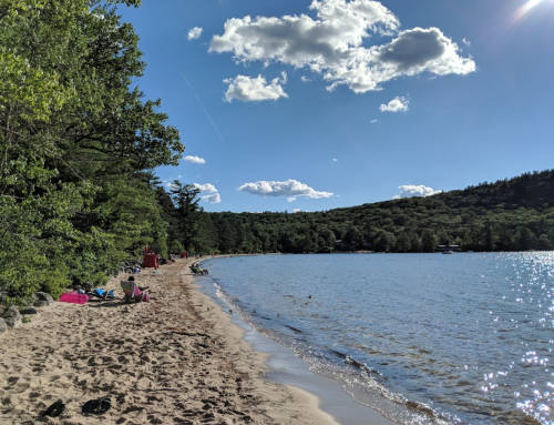A sandy beach by a calm lake, surrounded by trees and hills, with a few people relaxing in the sun.