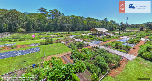 Aerial view of a vibrant community garden with various plants, pathways, and a pavilion under a clear blue sky.
