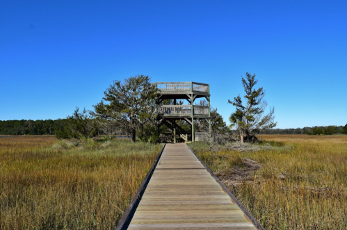 A wooden boardwalk leads to a tall observation tower surrounded by marshland and clear blue skies.