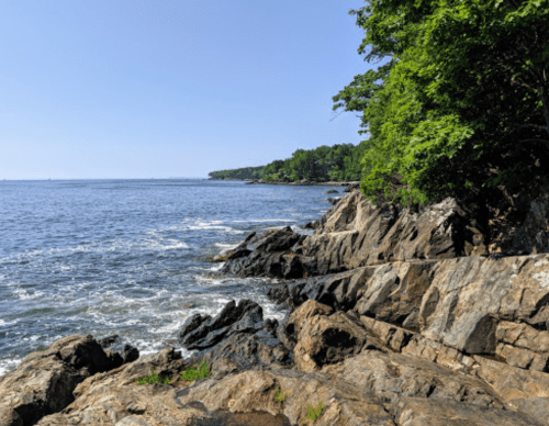 A rocky shoreline with lush greenery and calm blue waters under a clear sky.