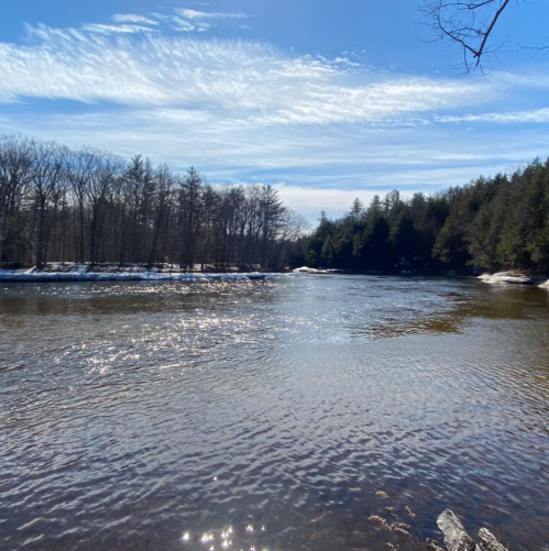 A serene river scene with sparkling water, surrounded by trees and a clear blue sky.