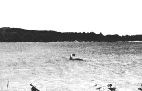 A black and white photo of a lake with a mysterious figure partially submerged in the water.