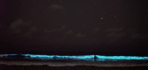 A dark beach scene with glowing blue waves under a starry night sky.