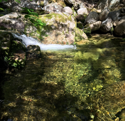 A serene stream flows over rocks, with sunlight reflecting on the clear water and surrounding greenery.