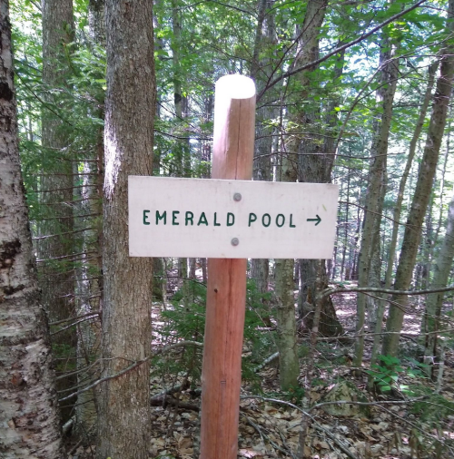 A wooden signpost in a forest pointing to the right, labeled "Emerald Pool."