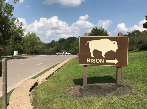 A brown sign with a bison graphic and an arrow pointing right, set against a blue sky and green landscape.