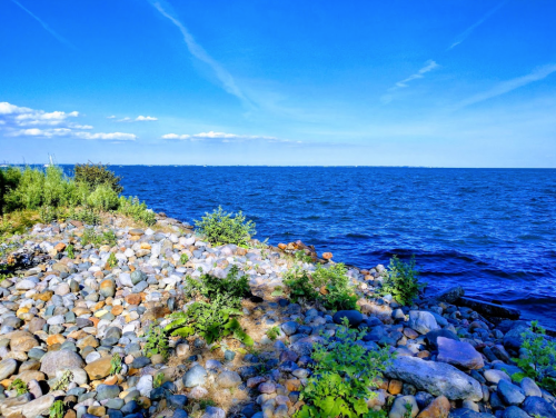 A rocky shoreline with lush greenery under a clear blue sky and calm blue water.