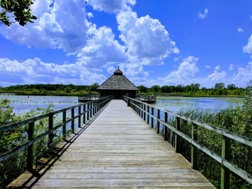 A wooden boardwalk leads to a gazebo over a serene wetland, under a bright blue sky with fluffy clouds.