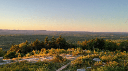 A scenic view of rolling hills and trees at sunset, with a clear sky and soft golden light illuminating the landscape.