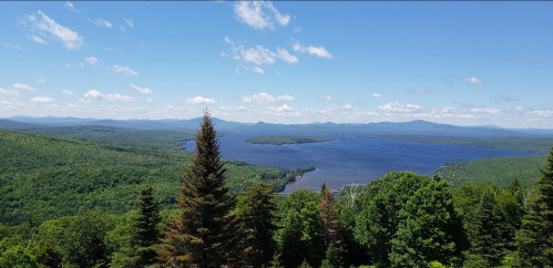 A panoramic view of a lush green landscape with a large lake and distant mountains under a clear blue sky.