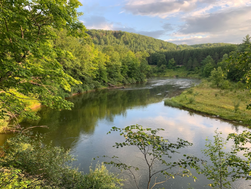 A serene river flows through a lush green landscape, surrounded by trees and rolling hills under a partly cloudy sky.