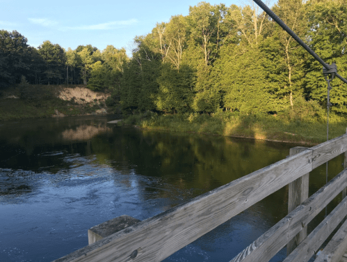 A serene river scene with lush green trees reflecting in the water, viewed from a wooden bridge.