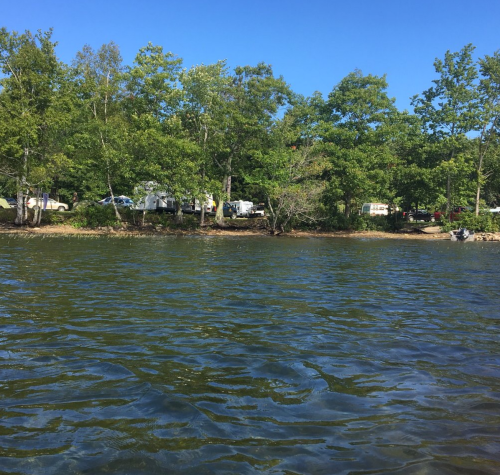 A serene lake view with clear water, surrounded by green trees and RVs parked along the shore under a blue sky.