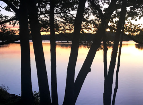 Silhouetted trees frame a tranquil lake at sunset, reflecting vibrant colors in the water.