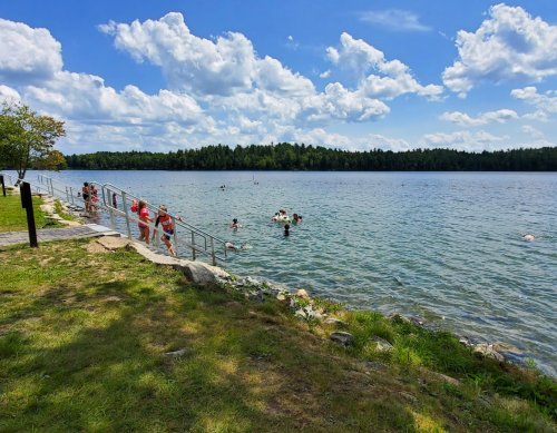 People swimming and playing in a lake on a sunny day, with trees and clouds in the background.