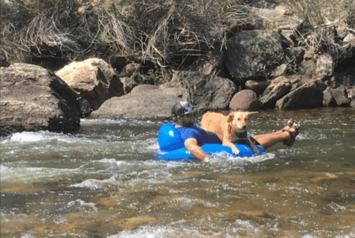 A person floats on a blue inner tube in a river with a dog beside them, surrounded by rocks and greenery.