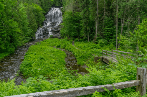 A serene waterfall cascades down rocks, surrounded by lush green trees and a winding stream, with a wooden bridge nearby.