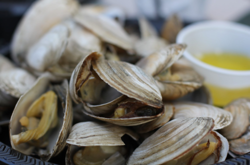 A close-up of opened clams on a plate, with a small cup of yellow dipping sauce beside them.