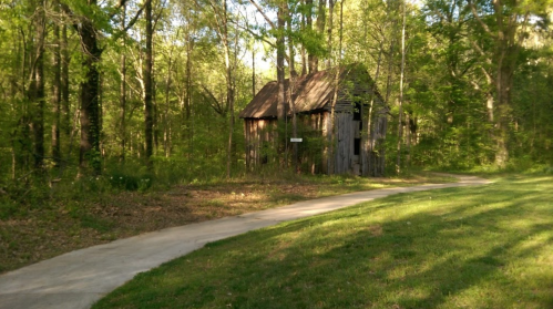 A weathered wooden shed surrounded by lush greenery and a winding path in a forested area.