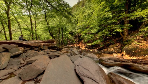 A serene forest scene with a rocky stream, lush green trees, and a person sitting on a log by the water.