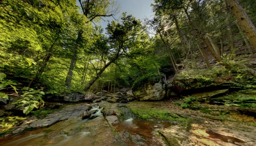 A serene forest scene with lush green trees, a rocky stream, and sunlight filtering through the foliage.