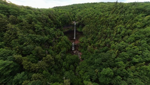 Aerial view of a lush green forest with a waterfall cascading down rocky cliffs.