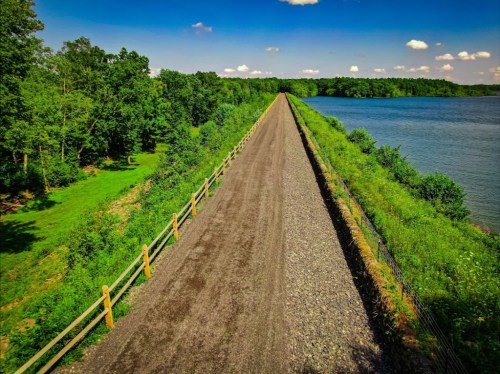 A scenic pathway lined with greenery, running alongside a calm body of water under a clear blue sky.