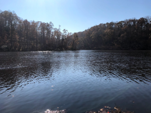 A serene lake surrounded by trees, reflecting sunlight on a clear autumn day.
