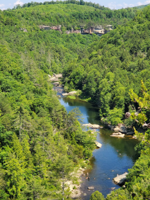 A scenic view of a winding river surrounded by lush green trees and hills under a clear blue sky.