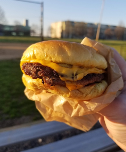 A hand holding a cheeseburger with a juicy patty and melted cheese, wrapped in paper, against a park backdrop.