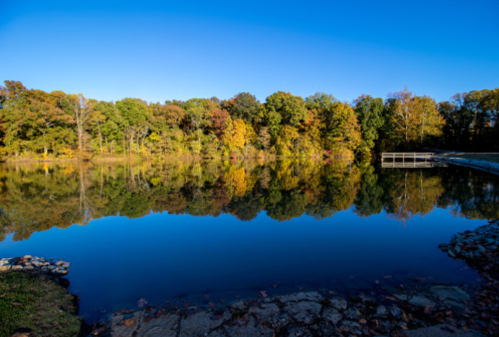 A serene lake reflecting colorful autumn trees under a clear blue sky.