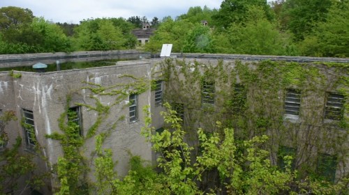 Overgrown building with ivy and trees, surrounded by lush greenery under a cloudy sky.