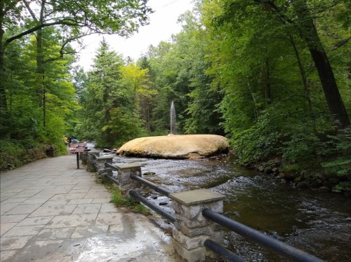 A serene forest scene with a stream, a grassy mound, and a small fountain, surrounded by lush green trees.