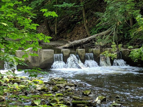 A serene stream flows over a small dam, surrounded by lush greenery and rocky banks.