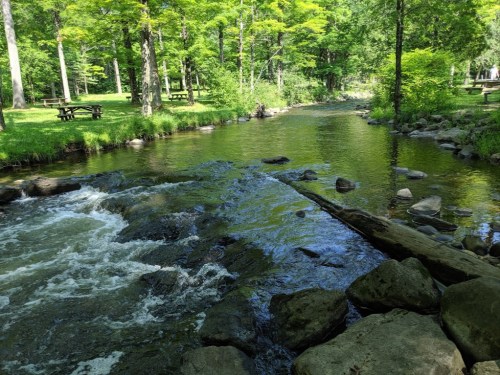 A serene stream flows through a lush green forest, with rocks and picnic areas visible along the banks.