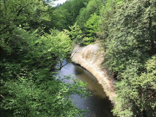 A serene river flows through lush green trees and rocky banks in a peaceful forest setting.