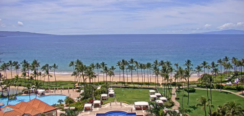 A scenic view of a beach resort with palm trees, a pool, and the ocean under a clear blue sky.